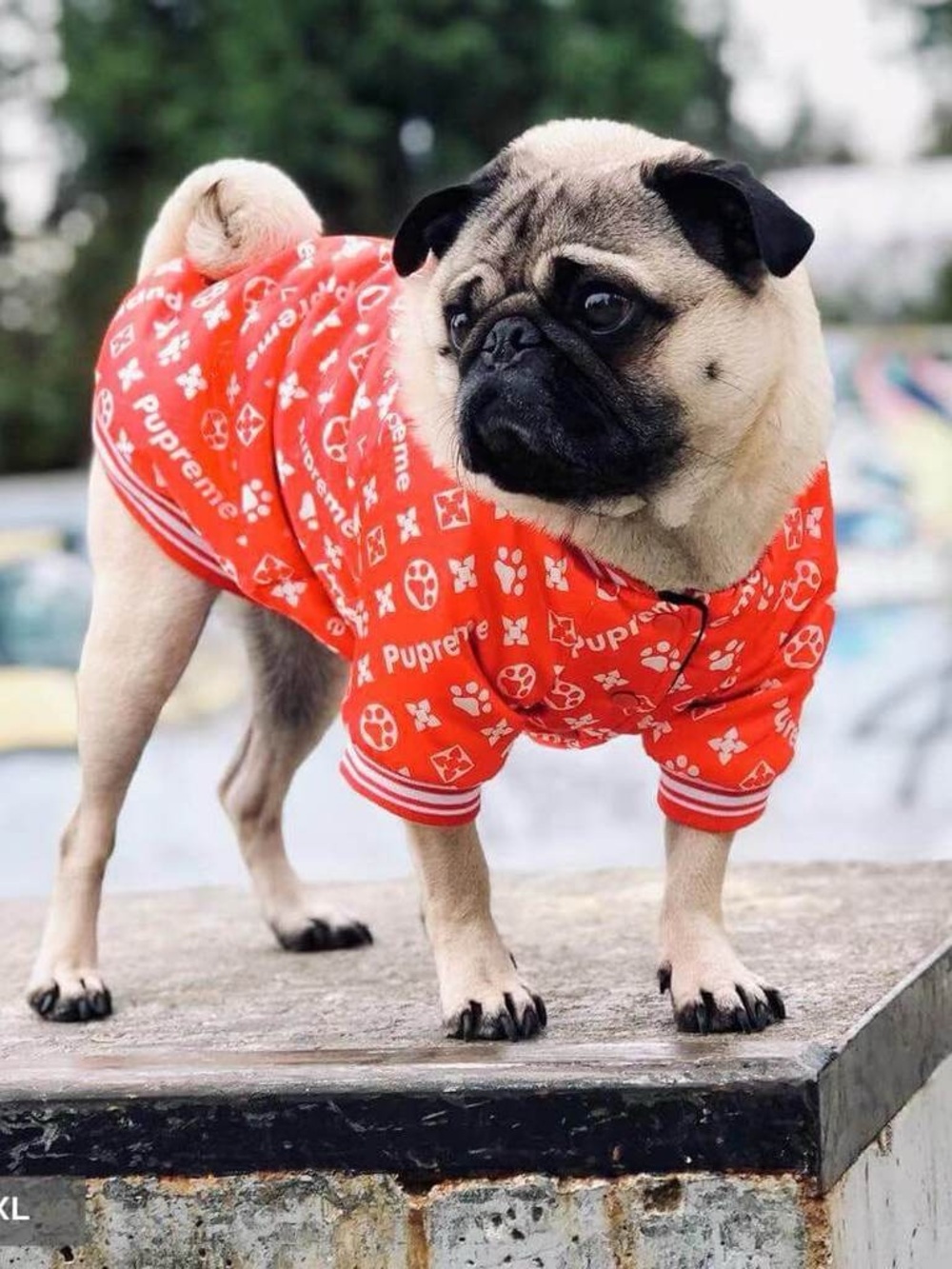Pupreme Dog Bomber Jacket